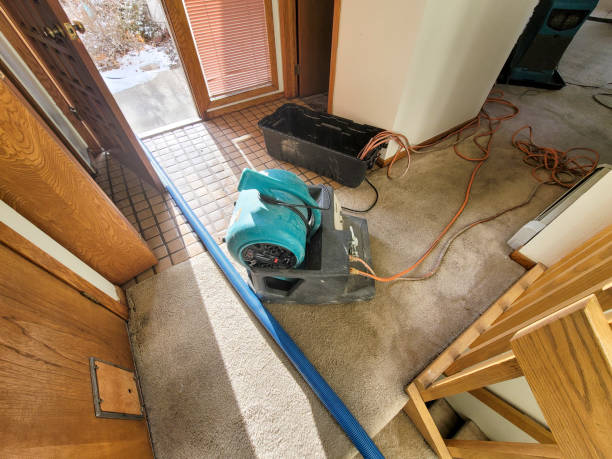 Best Water damage restoration near me  in Ritzville, WA