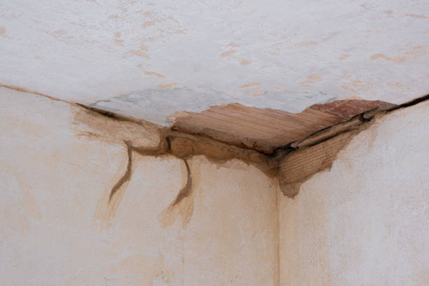 Reliable Ritzville, WA Water damage restoration Solutions