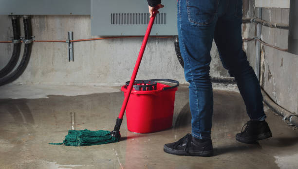 Best Water damage restoration near me  in Ritzville, WA