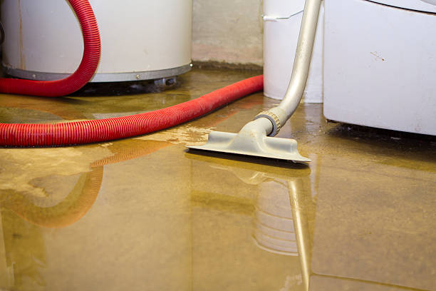 Best Water damage contractors near me  in Ritzville, WA