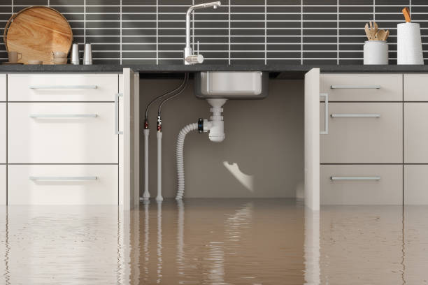 Best Professional water damage repair  in Ritzville, WA