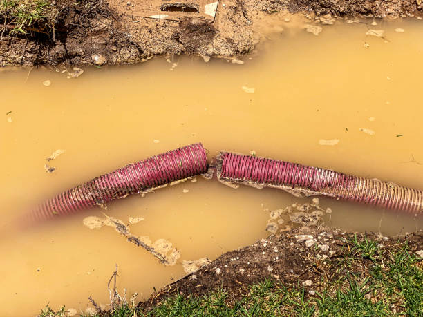 Water damage restoration experts in Ritzville, WA